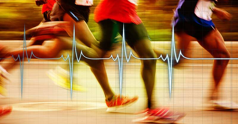 L'Importance de la Fréquence Cardiaque dans l'Activité Physique: Mesure, Calcul et Zones